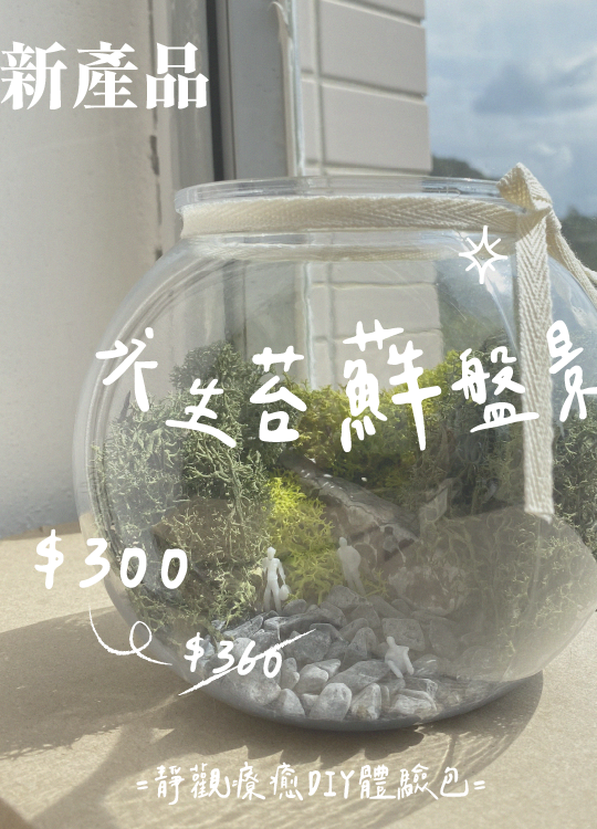 永生苔蘚生態瓶在家體驗材料包（2022 12月）